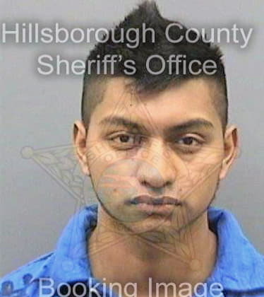 Cruzvazquez Belisario - Hillsborough County, FL 