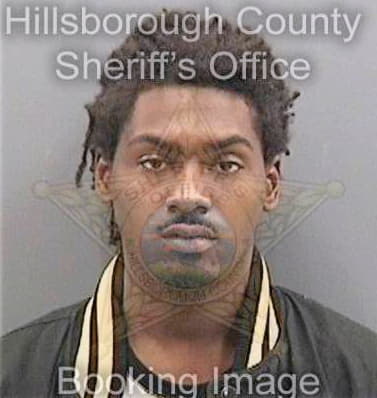 Hankerson Michael - Hillsborough County, FL 