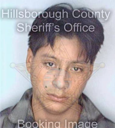 Gomez Jorge - Hillsborough County, FL 