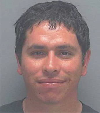 Serrato Elias - Lee County, FL 