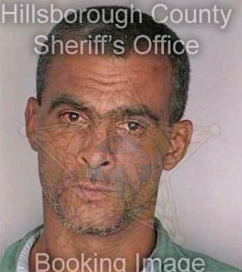 Millan Sigfredo - Hillsborough County, FL 