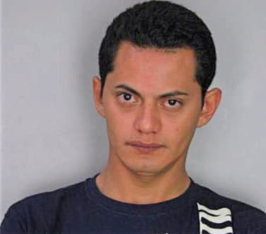 Mendez Edgar - Hillsborough County, FL 