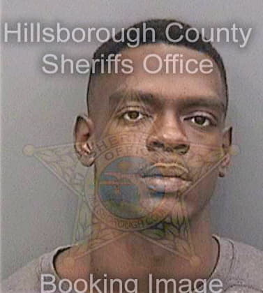 Johnson Elroy - Hillsborough County, FL 