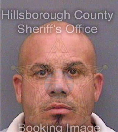 Tirado Reynaldo - Hillsborough County, FL 