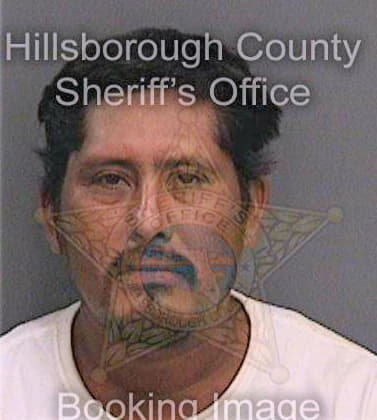 Ramirezvelazquez Marcos - Hillsborough County, FL 