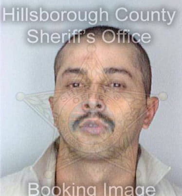 Martinez Carlos - Hillsborough County, FL 