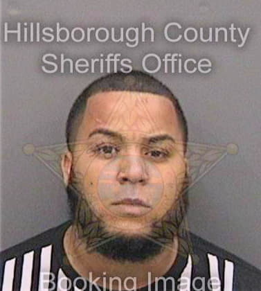 Bazo Derek - Hillsborough County, FL 