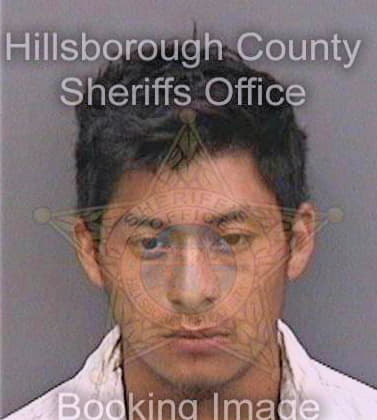 Solis Francisco - Hillsborough County, FL 