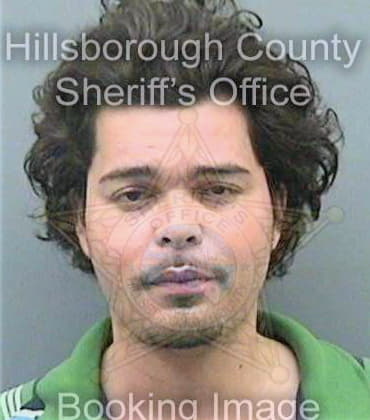 Lopez Jason - Hillsborough County, FL 