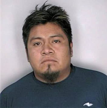 Merinofigueroa Enrique - Hillsborough County, FL 