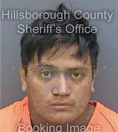 Jimenezgomez Miguel - Hillsborough County, FL 