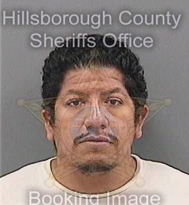 Bravo Allan - Hillsborough County, FL 