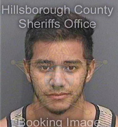 Esparza Daniel - Hillsborough County, FL 