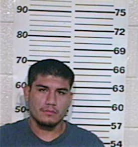 Alvarez Roy - Hidalgo County, TX 