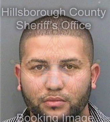 Lozada Anthony - Hillsborough County, FL 