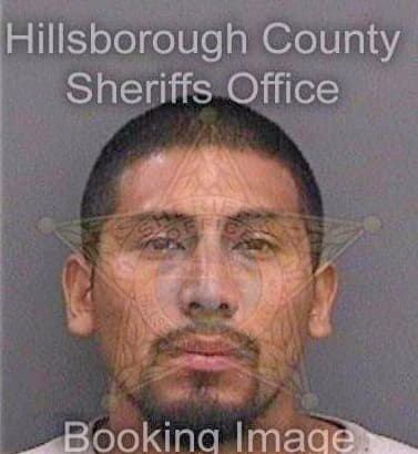 Pizano Juan - Hillsborough County, FL 