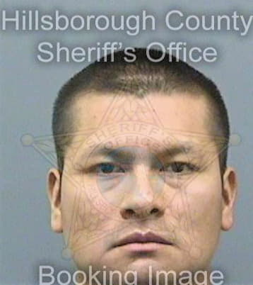 Vargas Mendoza - Hillsborough County, FL 