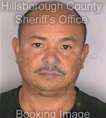 Galvan Ignacio - Hillsborough County, FL 