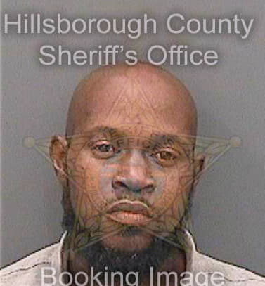 Mcclinton Larrod - Hillsborough County, FL 