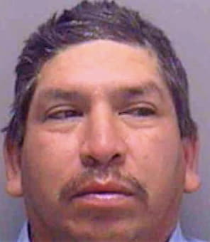 Rosalez Martin - Lee County, FL 