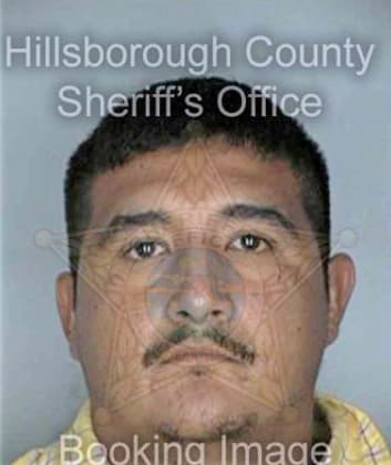 Gonzalez Lorenzo - Hillsborough County, FL 