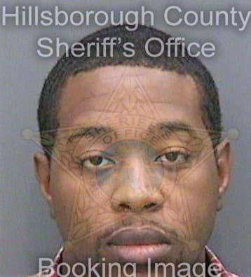 Snell Tyrone - Hillsborough County, FL 