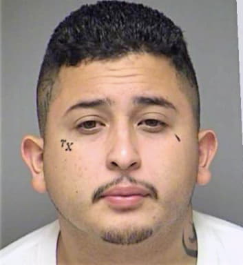 Ramirez Carlos - Denton County, TX 