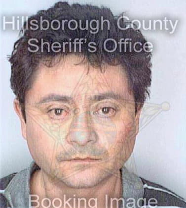 Pineda Herbert - Hillsborough County, FL 