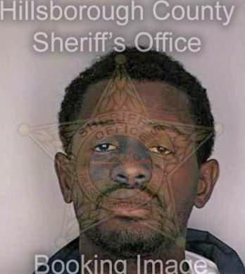 Smith Desmond - Hillsborough County, FL 
