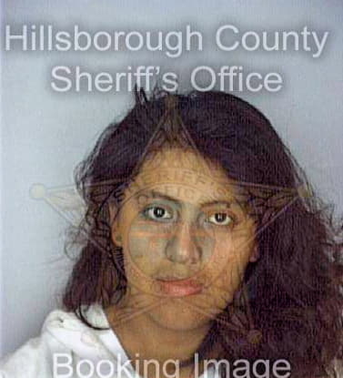 Hernandez Patricia - Hillsborough County, FL 