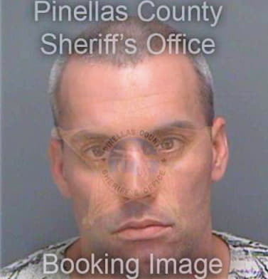 Henderson Anthony - Pinellas County, FL 