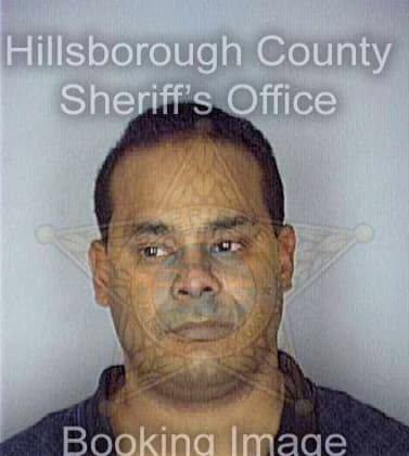 Davila Anthony - Hillsborough County, FL 