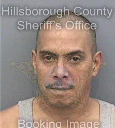 Pedroza Miguel - Hillsborough County, FL 