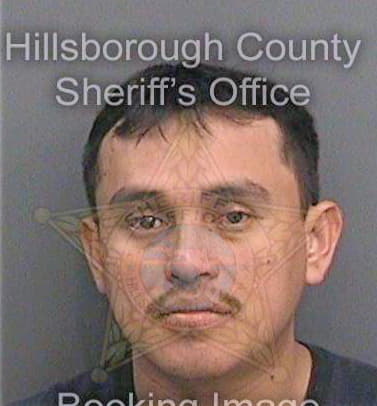 Silveiraperalta Samuel - Hillsborough County, FL 