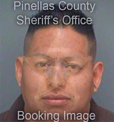 Gonzalez Irving - Pinellas County, FL 