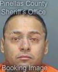 Gonzalez Armondo - Pinellas County, FL 