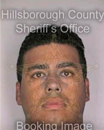 Collazo Abimael - Hillsborough County, FL 