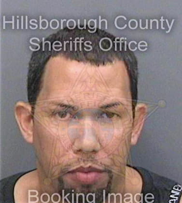 Negronbetancourt Kenneth - Hillsborough County, FL 