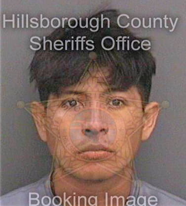 Calzadahernandez Daniel - Hillsborough County, FL 