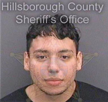 Sanchez Alejandro - Hillsborough County, FL 