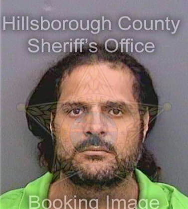 Cortesfeliciano Alcides - Hillsborough County, FL 