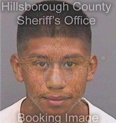 Medina Ricardo - Hillsborough County, FL 