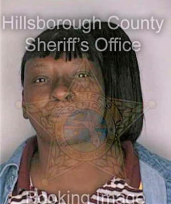 Simmons Sherrel - Hillsborough County, FL 