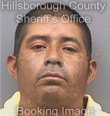 Hernandezvicente Jacinto - Hillsborough County, FL 