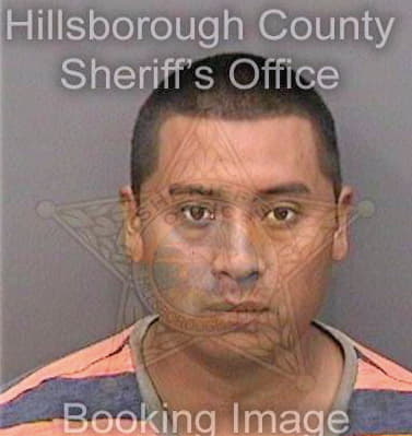 Prudenciogerman Miguel - Hillsborough County, FL 