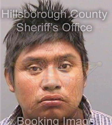 Gomezlopez Armando - Hillsborough County, FL 