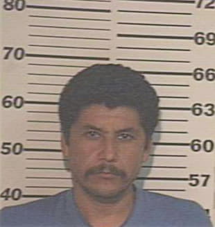 Gonzalez Jesus - Hidalgo County, TX 