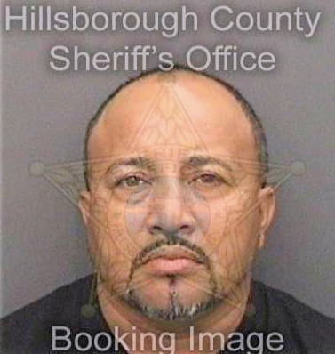 Herrerasanchez Jorge - Hillsborough County, FL 