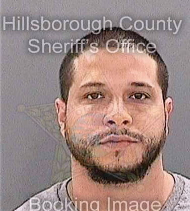 Bonet Yosnel - Hillsborough County, FL 