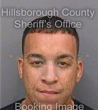 Brito Jonathan - Hillsborough County, FL 